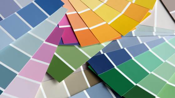 White walls in a home may look clean, but a splash of color can add a lot of personality. Here's how to use color in your home effectively.